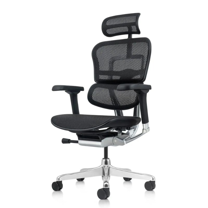 Ergohuman Elite 2 EHE2-AB-HAM-5D-L