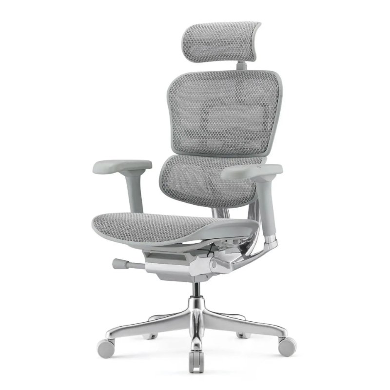 Кресло Ergohuman Elite 2 EHE2-AG-HAM-5D-L